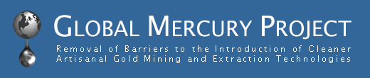 Global Mercury Project Logo